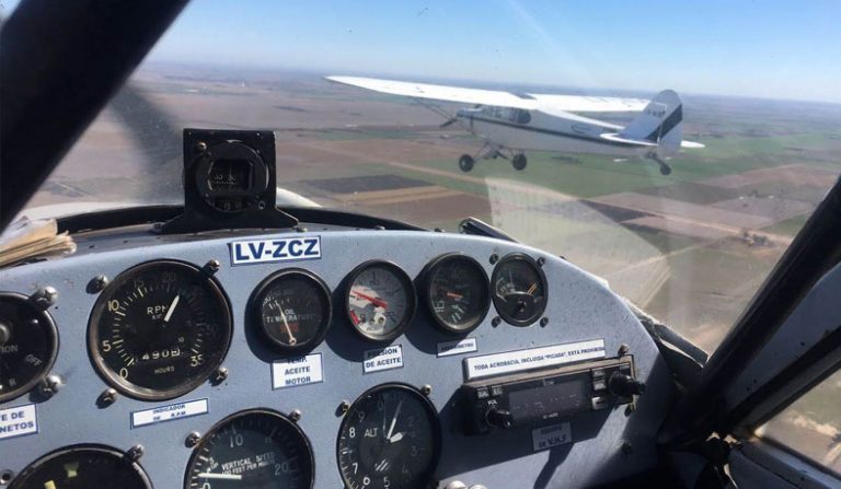 piper-01
